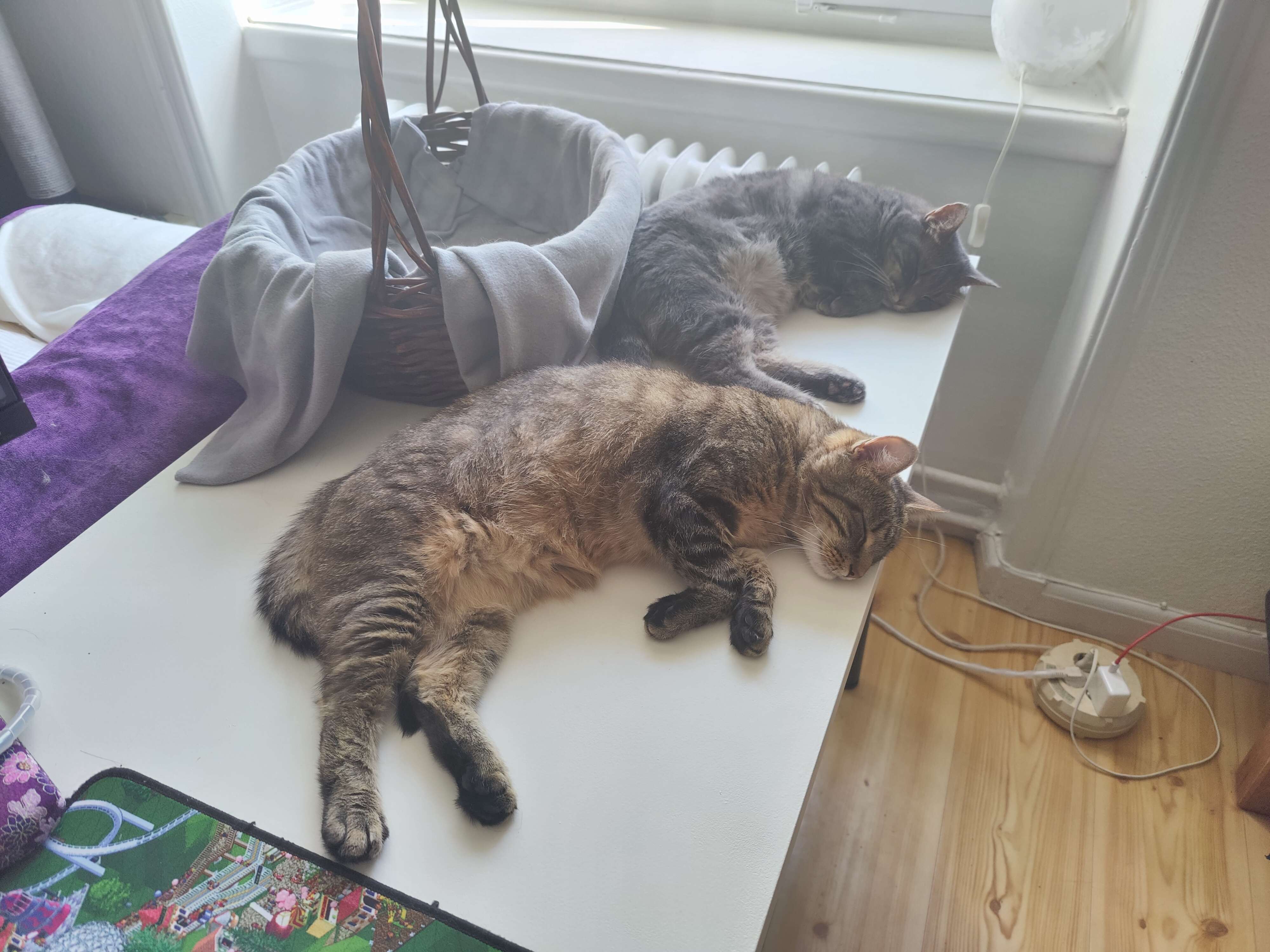 A photo of two cats sleeping in the exact same position next to each other on top of a desk.