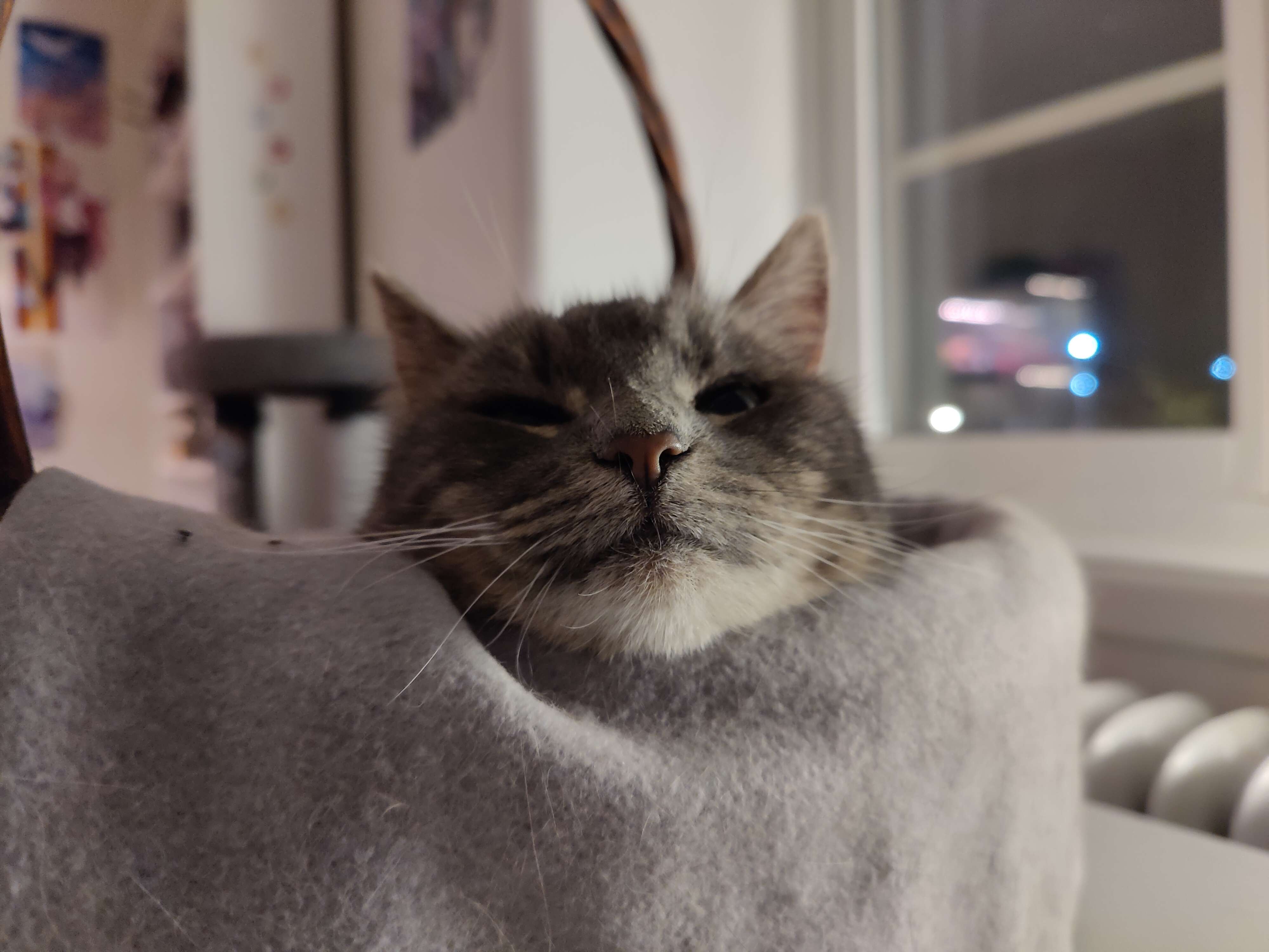 A close-up photo of a cat sleepily resting her head over the side of a basket.
